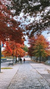 Paysage cyclable dans la région de Montréal, Québec