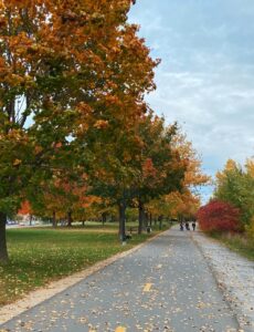 Paysage cyclable dans la région de Montréal, Québec