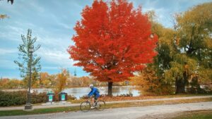 Paysage cyclable dans la région de Montréal, Québec