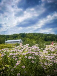 Paysage cyclable dans la région de Lanaudière, Québec