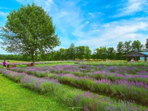 Paysage cyclable de la région des Cantons-de-l’Est (Estrie), au Québec
