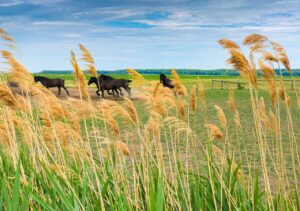 Paysage cyclable dans la région de la Montérégie, Québec