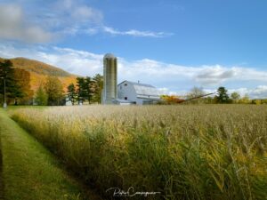 Paysage cyclable dans la région de la Montérégie, Québec