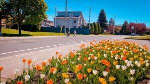 Paysage cyclable dans la région de Montréal, Québec