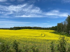 Paysage cyclable de la région du Saguenay-Lac-St-Jean, Québec
