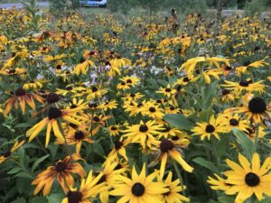 Paysage cyclable dans la région de Lanaudière, Québec